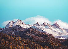 华体会官网：开启体育体验新纪元的官方平台